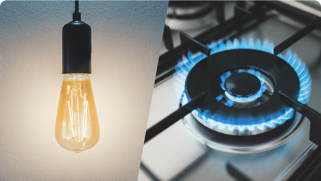 Representation of electricity and gas utilities