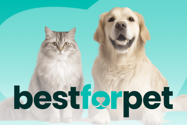 best-for-pet_website-promo-tile.png