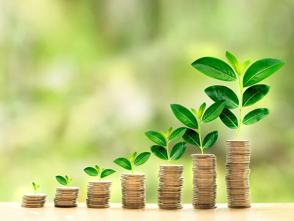 Coin stacks growing incrementally 