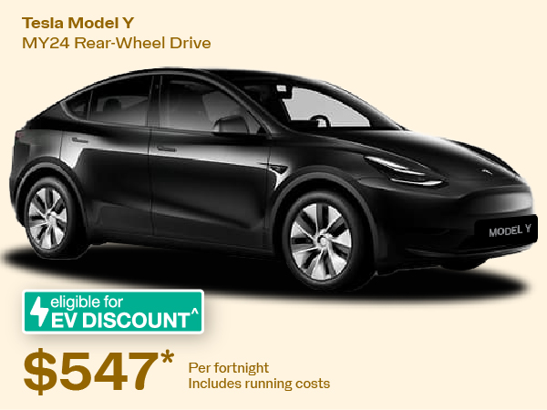 Tesla Y rear-wheel drive